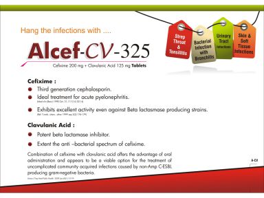 ALCEF - CV 325 - Altar Pharmaceuticals Pvt. Ltd.